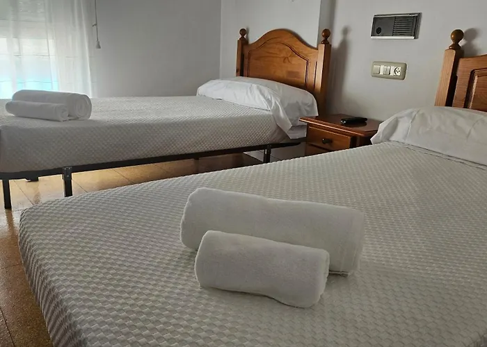 Nuevo Julios By Olda